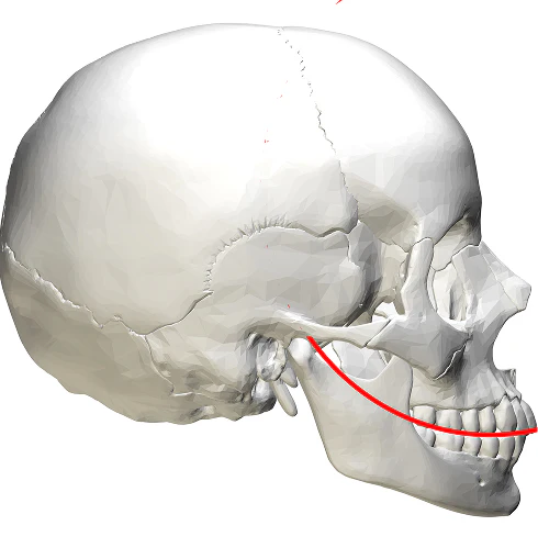 Unlock the occlusion, inflate the skull
